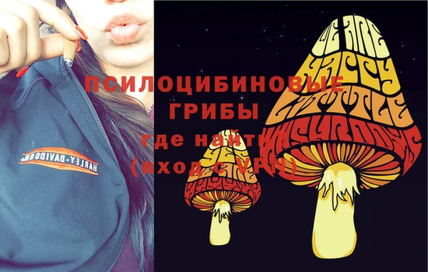 ALPHA-PVP Армянск