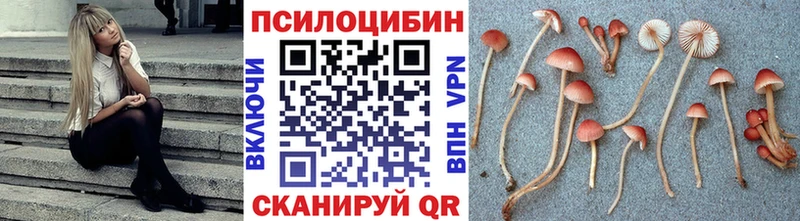 Псилоцибиновые грибы Cubensis Холм